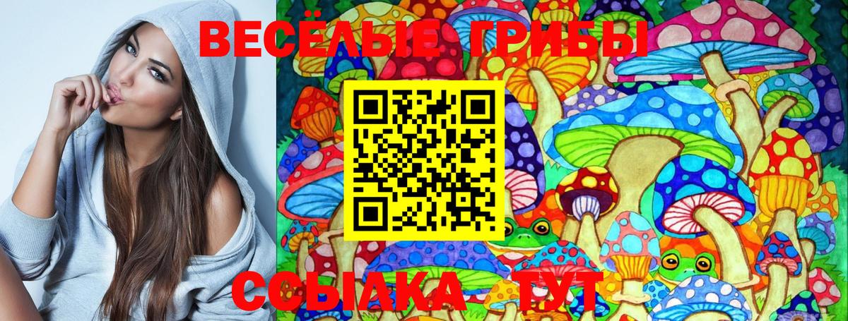 Галлюциногенные грибы Cubensis Шелехов